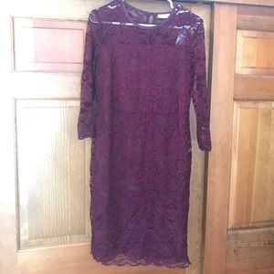 New York & Company Lace Sheath Dress